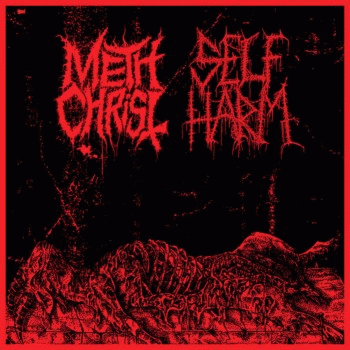Methchrist : Methchrist - Self Harm